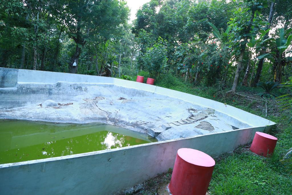 Philip Mary Farm Stay Thekkady Exterior photo